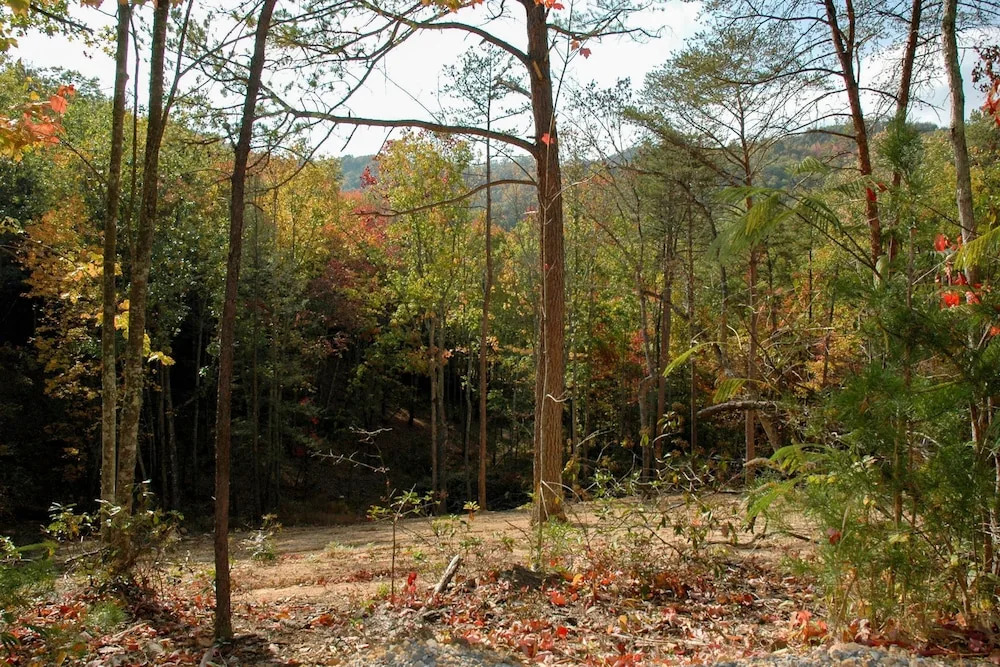 SOUTHERN NITES - 1 Br Cabin