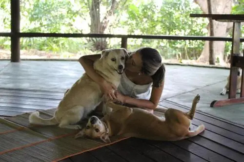 Nature Retreat with Healing Dogs in Brazil