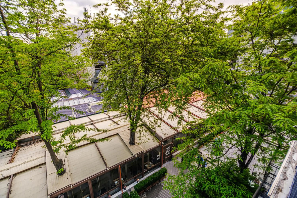 Targovu 5 Room DeLuxe Apartment