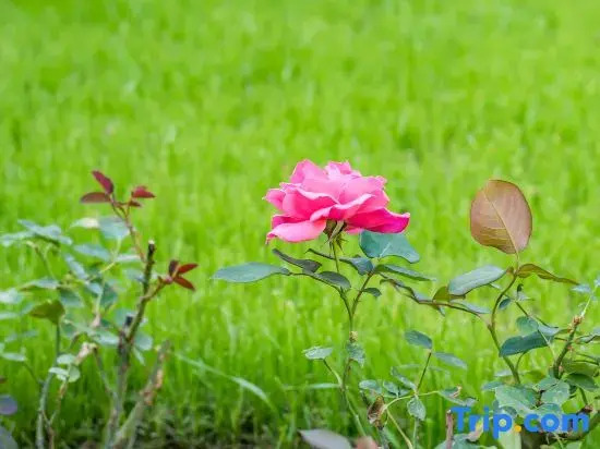 Beijing Lishan Nanyu Mountain Spring Pool Homestay