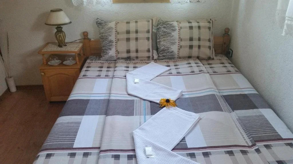 Mechta Guest House