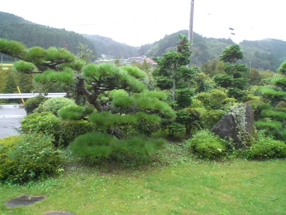 Kakinouen