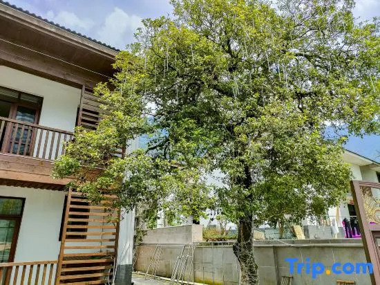Qixin Valley Homestay