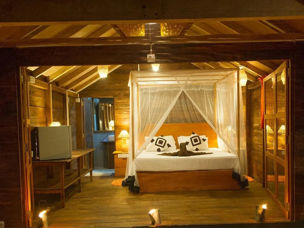 Sinharaja Rainforest Vibe