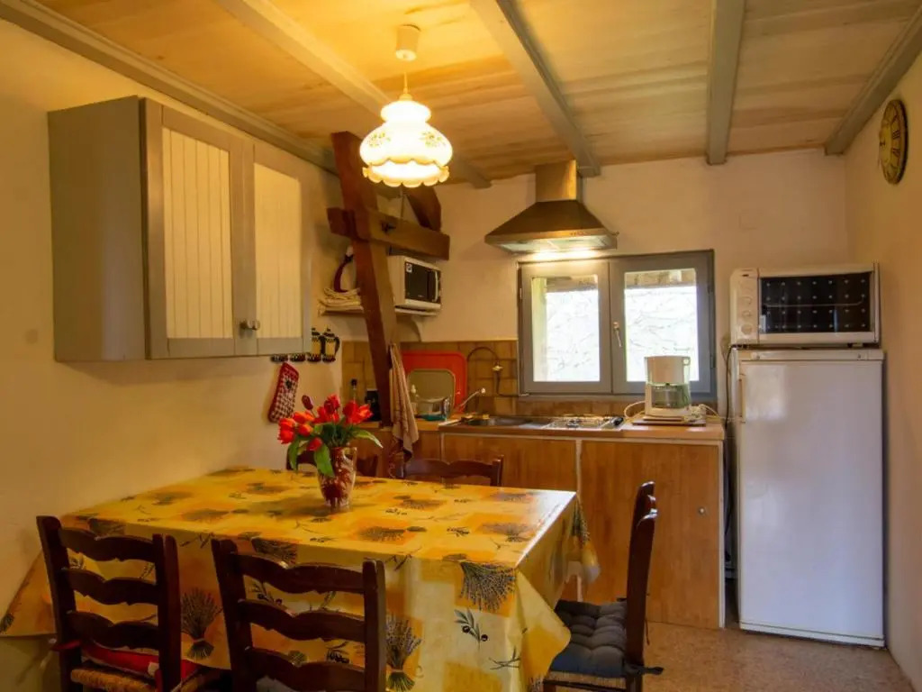 Appartement Beynac-et-Cazenac, 3 pièces, 5 personnes - FR-1-616-39