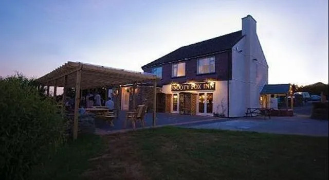 The Snooty Fox