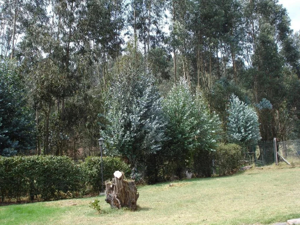 Casa Campestre Familiar