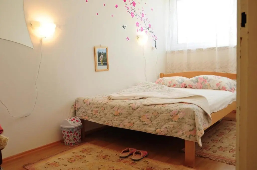 Apartment Daca Stan na dan