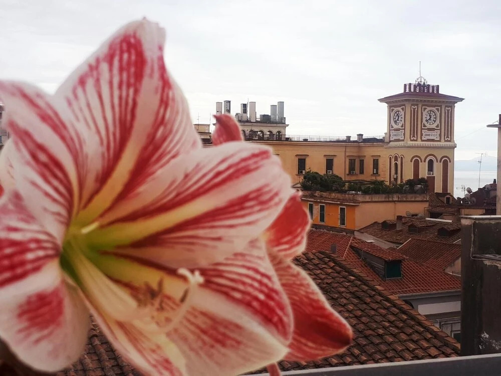 B&B Nevera