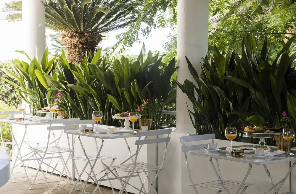 Suite Garden
