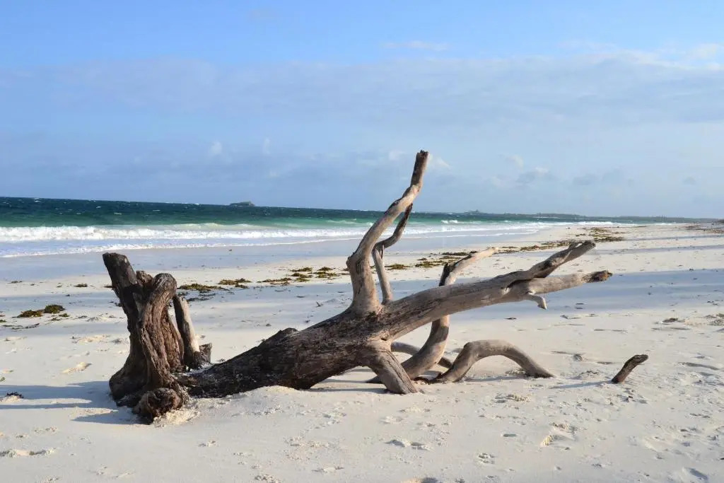 Watamu Beach Cottages
