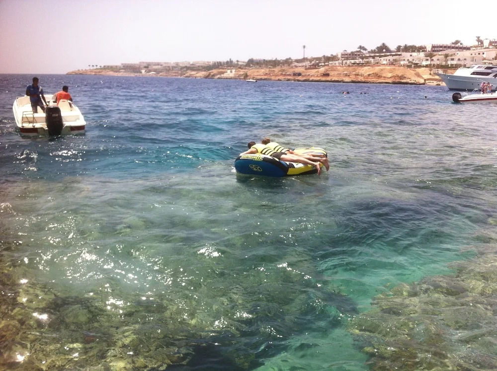 sharks bay oasis aqua park
