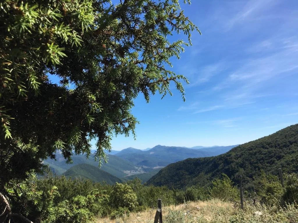 Agriturismo Marfuga