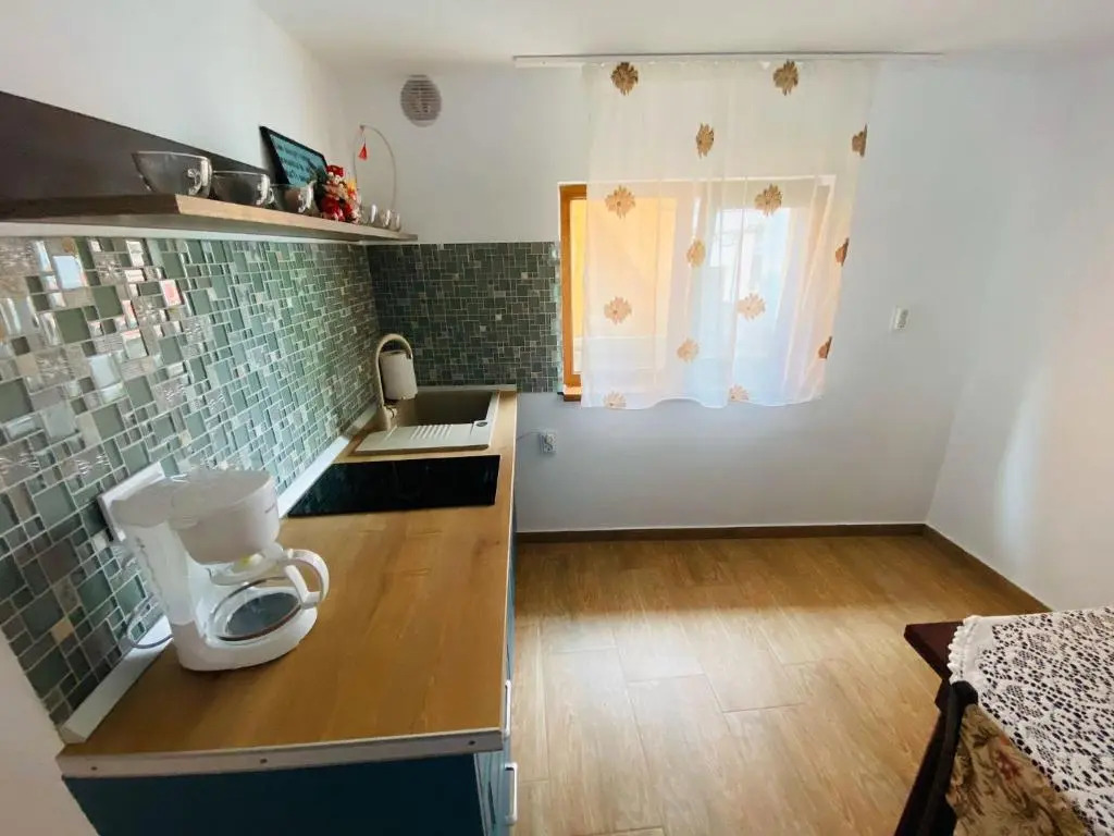 Andrei's house