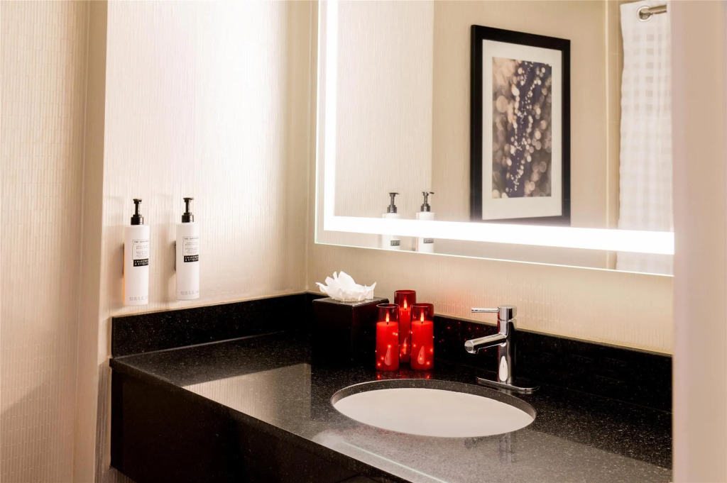 Embassy Suites by Hilton Chicago Downtown Magnificent Mile