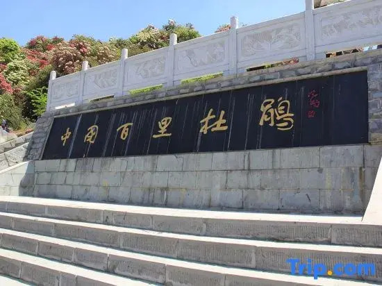 Baili Rhododendron  Language HallInn