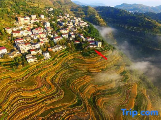 Wenzhou Jinli Yunshe Inn