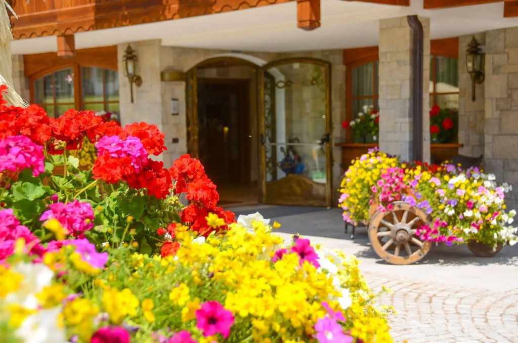 Hotel Stella Alpina