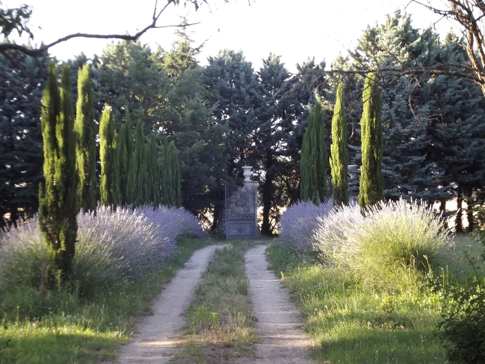 Domaine du Vivier - Chambres d'hôtes