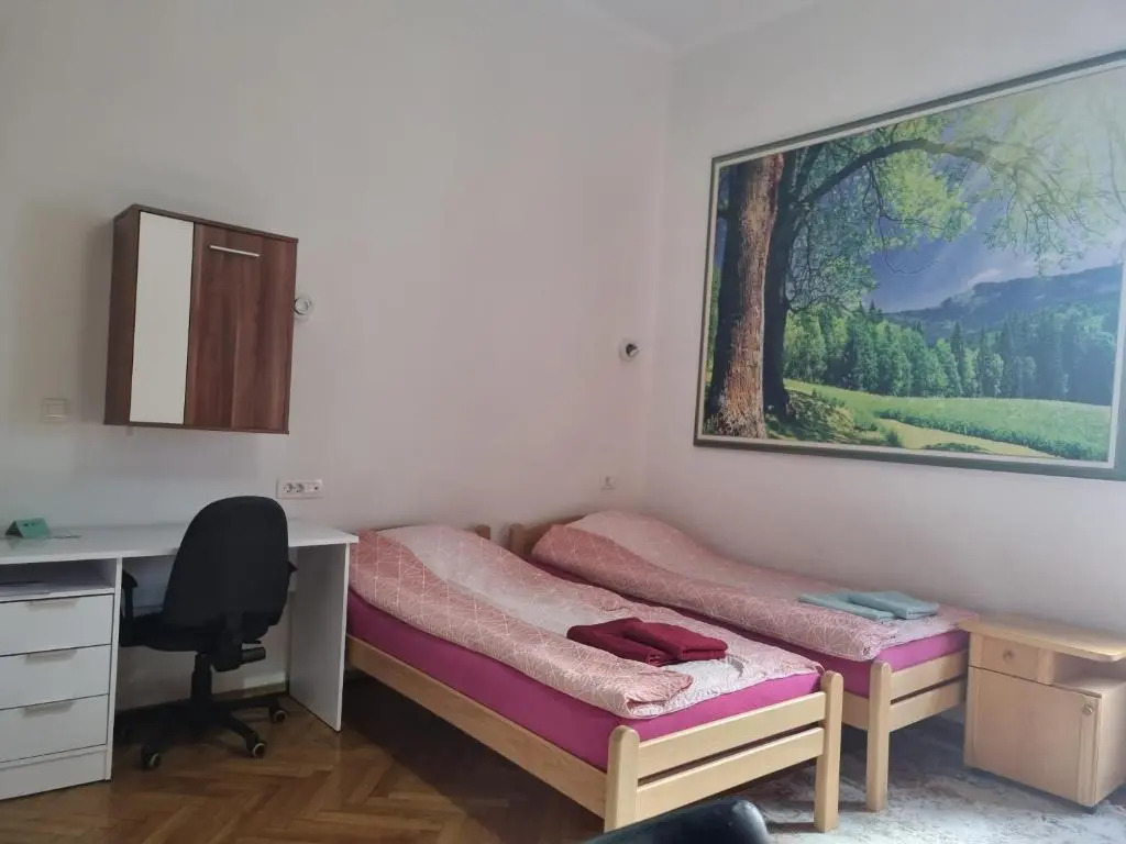 Apartments Fazarinc with parking, wellness and city store in the center of Celje