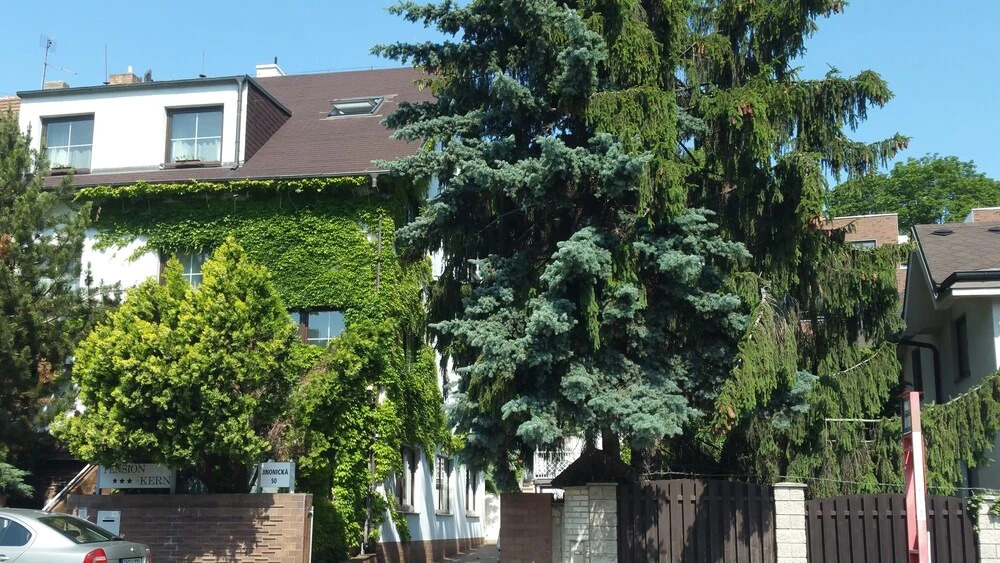 Pension Kern