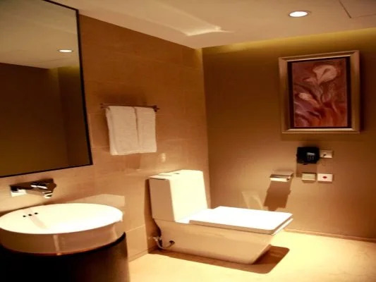 Shandong Shengyuan International Hotel