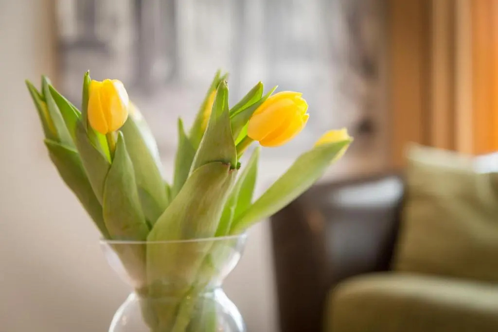 Saaresalu City Center Apartment