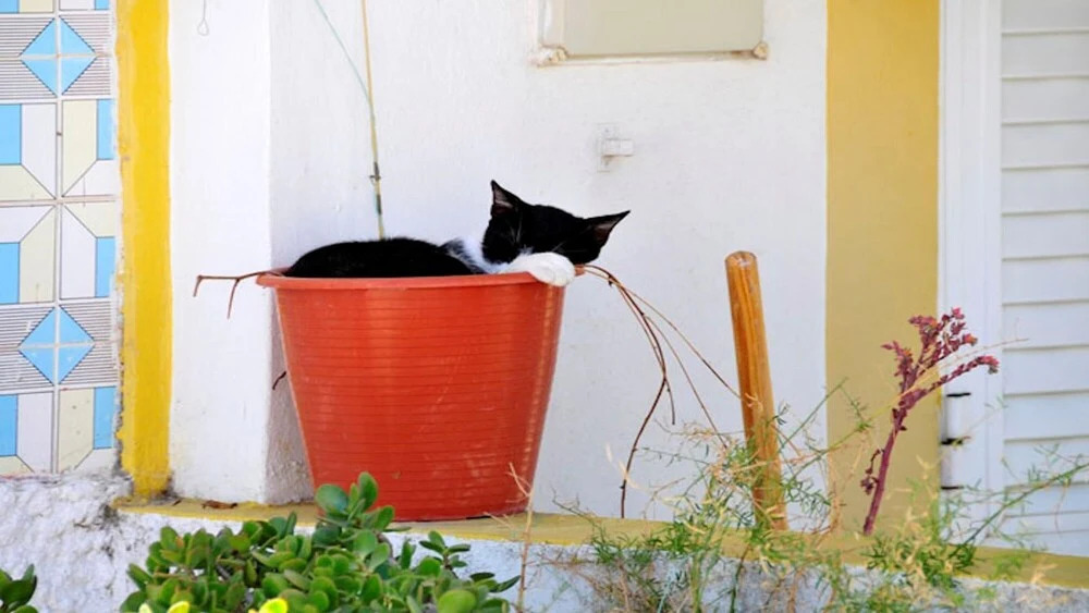 Casa Emma in Carvoeiro