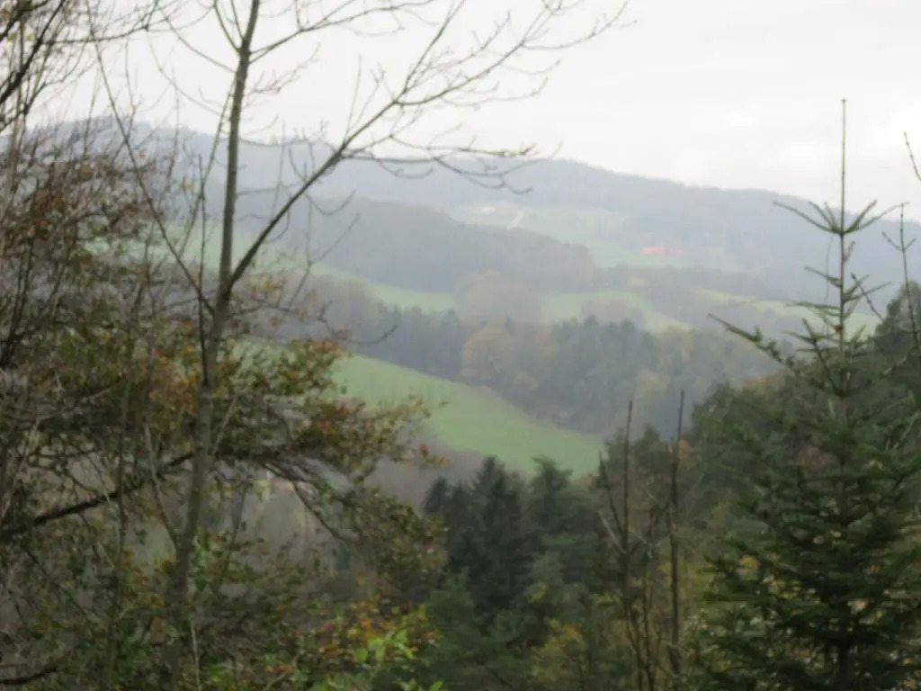Waldpension Stachl