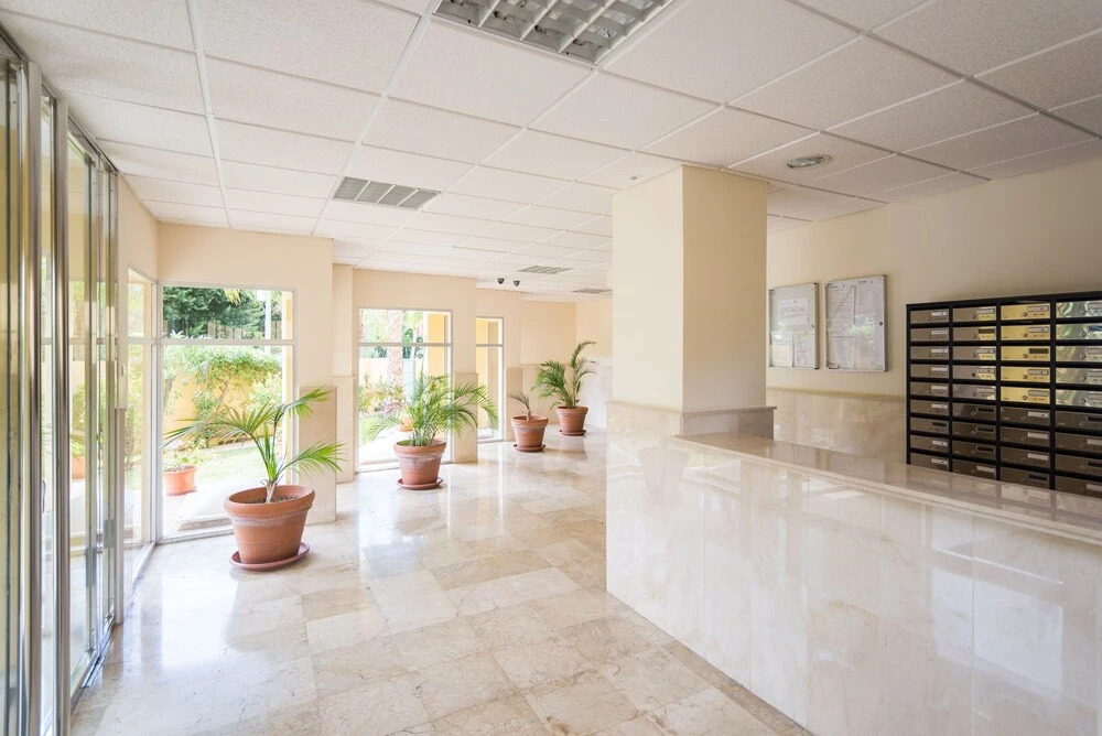 LU&CIA Estudios Candado