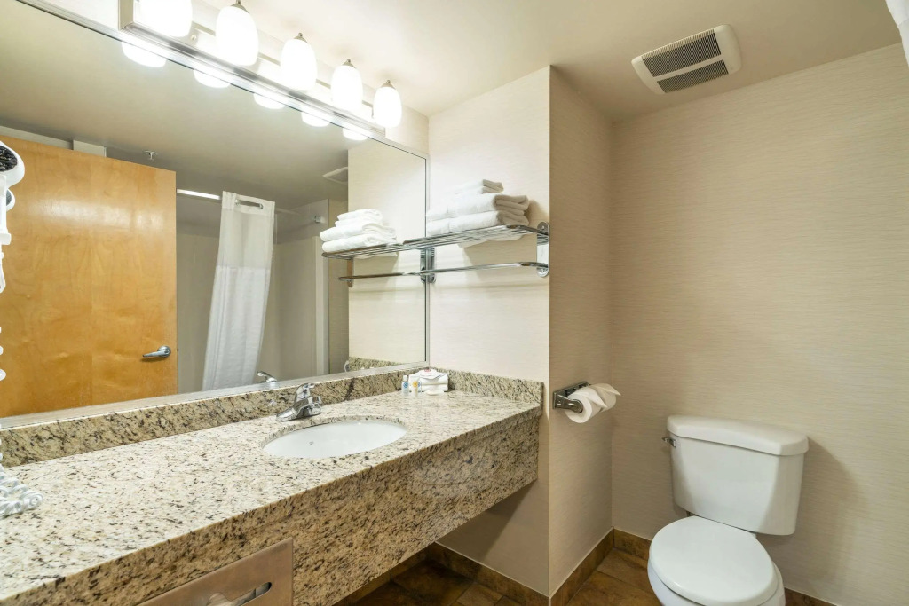 Comfort Inn & Suites Surrey