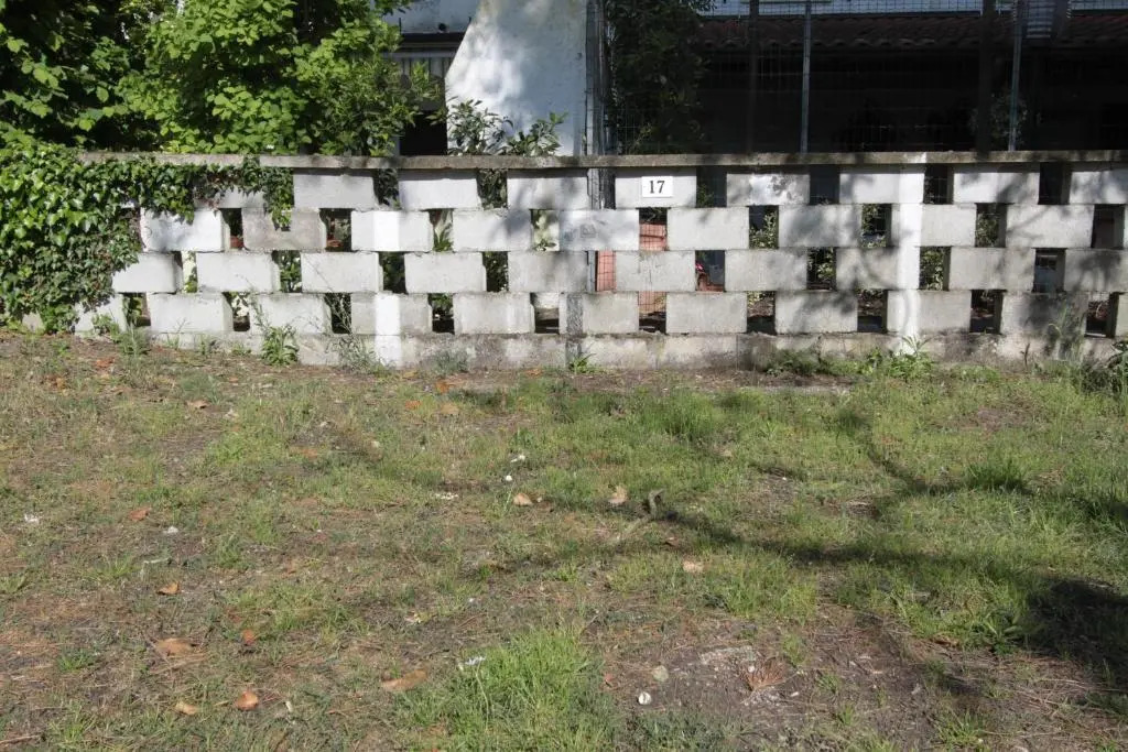 Habitat 81