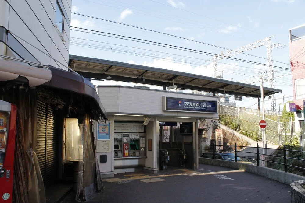 Hr Front Regal Shinmori