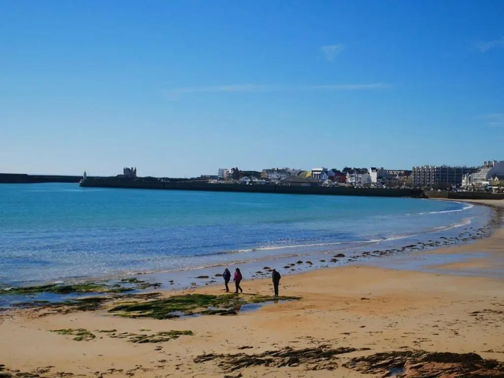 Appartement Quiberon, 1 pièce, 4 personnes - FR-1-478-175