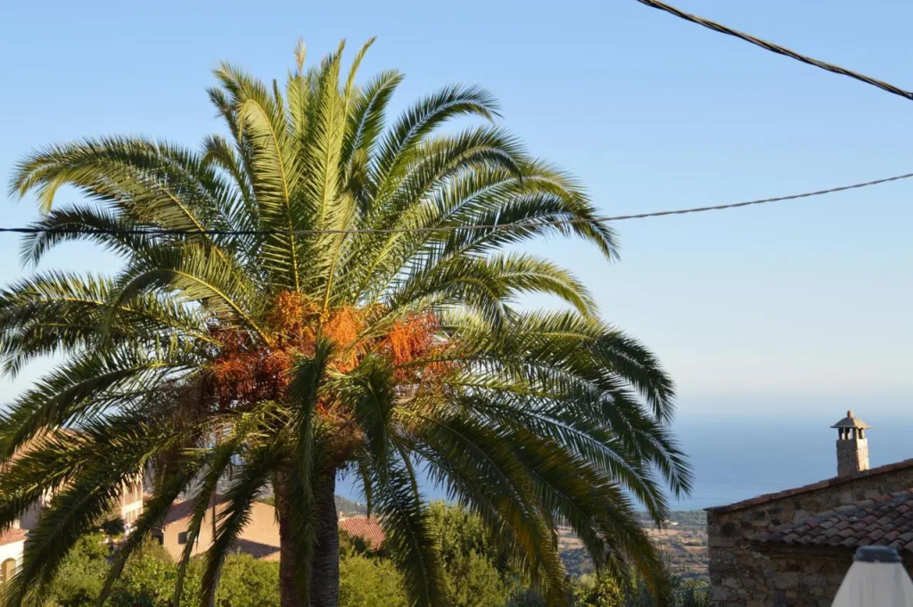 maison corse en balagne