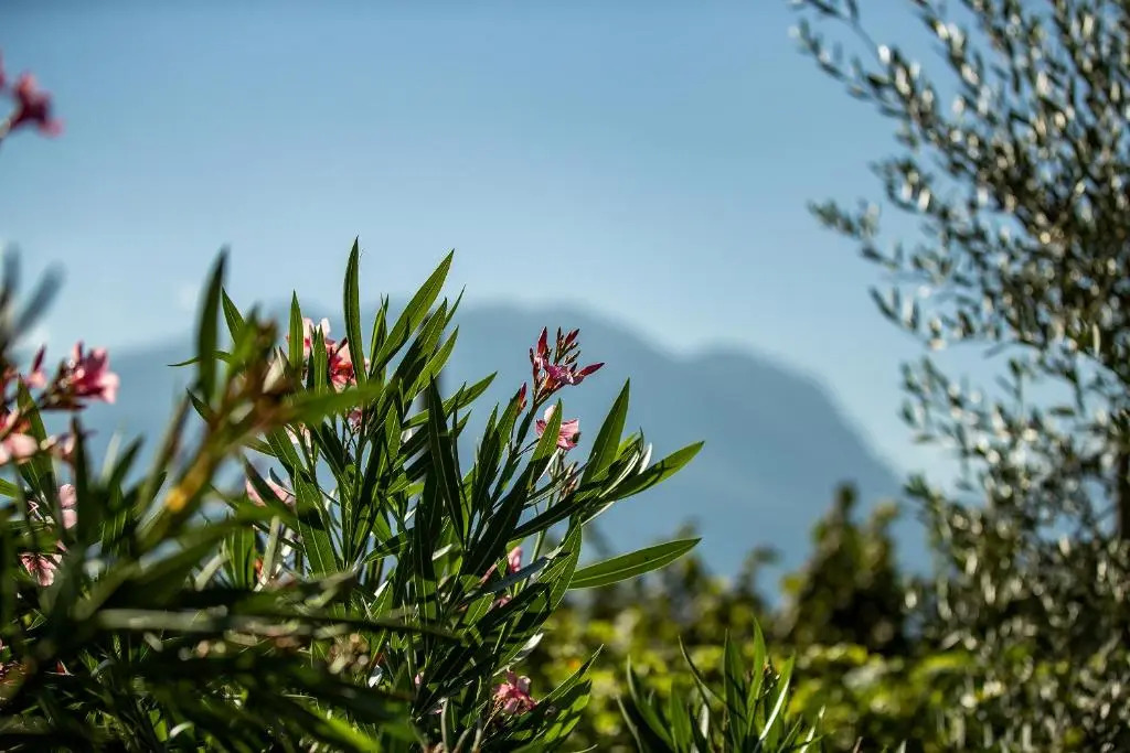 Agriturismo Casa di Campagna
