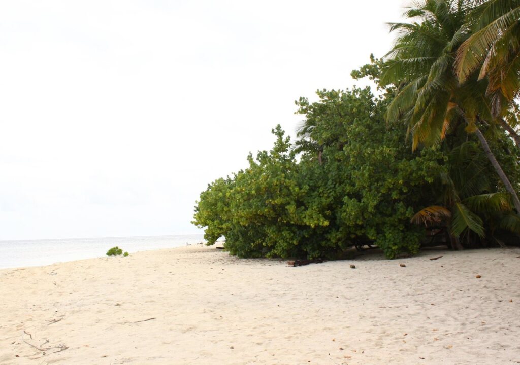 Casa Paguro Bodufolhudhoo