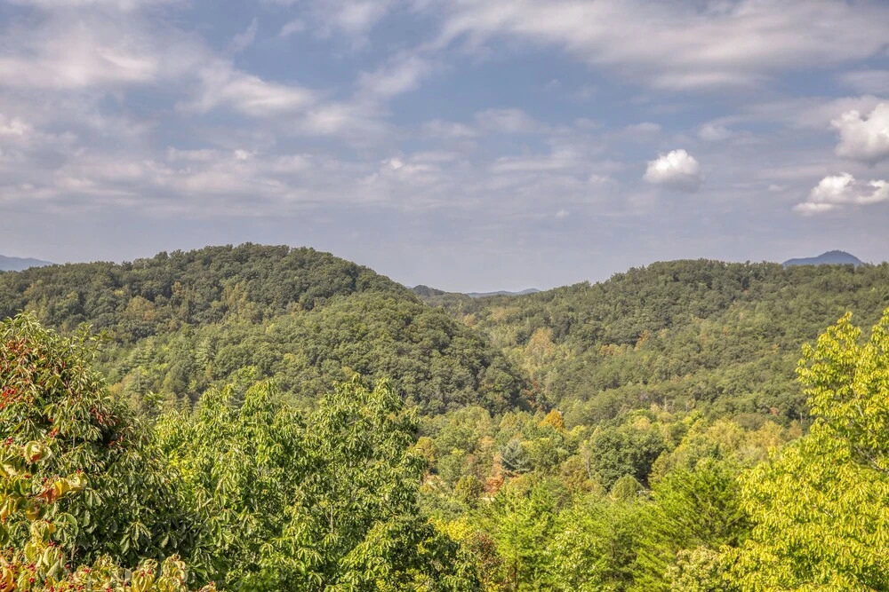 Mountain View - 2 Bedrooms, 2 Baths, Sleeps 6 Cabin by RedAwning