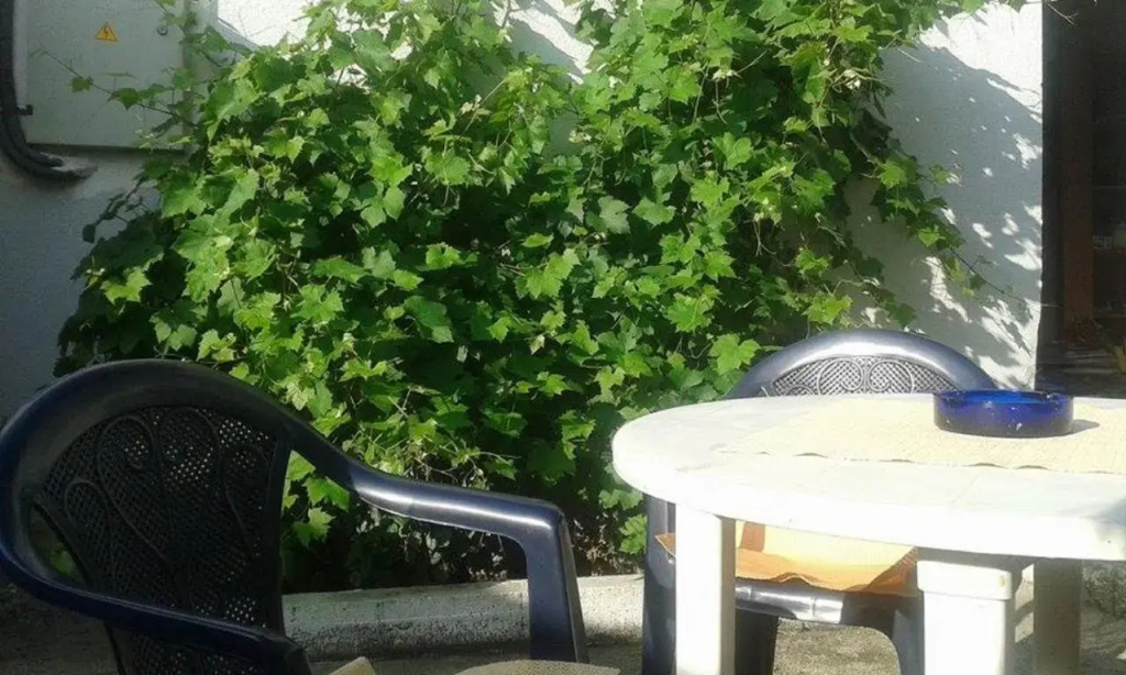 Guesthouse Nina