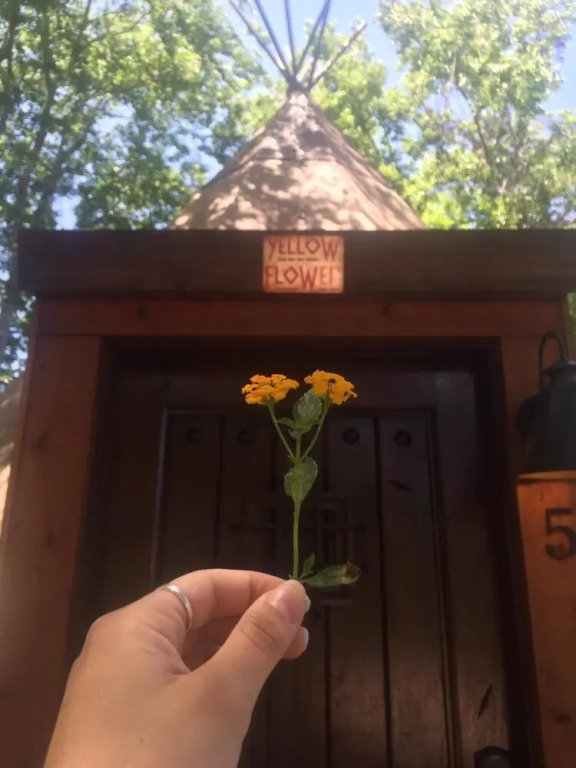 Yellow Flower Tipis 5 on Guadalupe River - Campsite