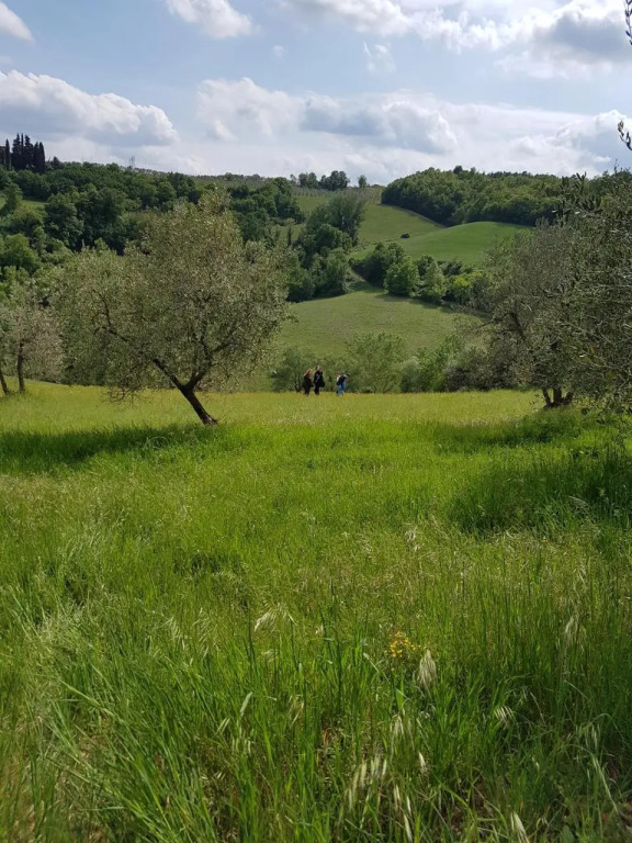 Ospitalità La Rocca Chianti