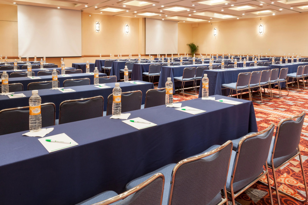 Holiday Inn MEXICO COYOACAN