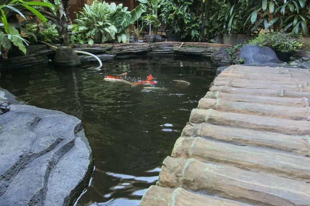 Duta Cabin