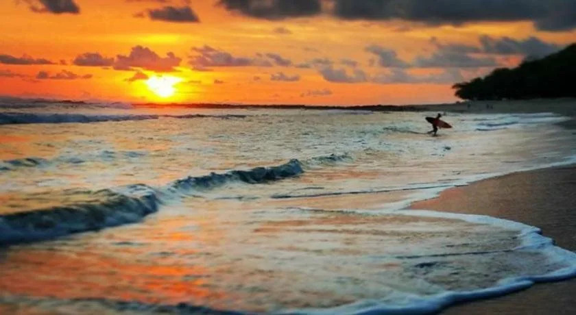Blue Surf Sanctuary