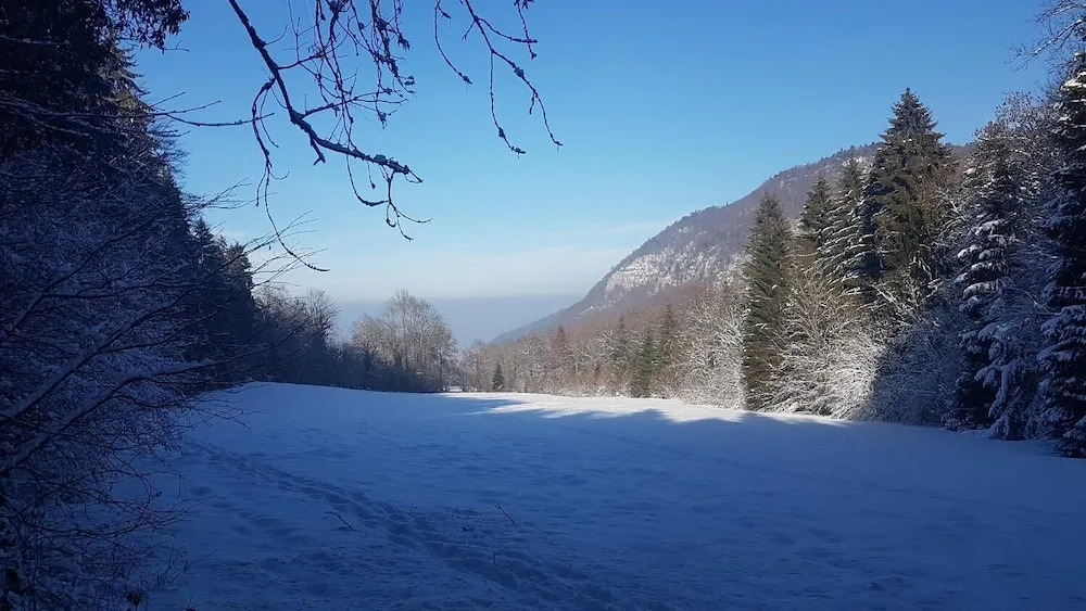 Suite du Lac II