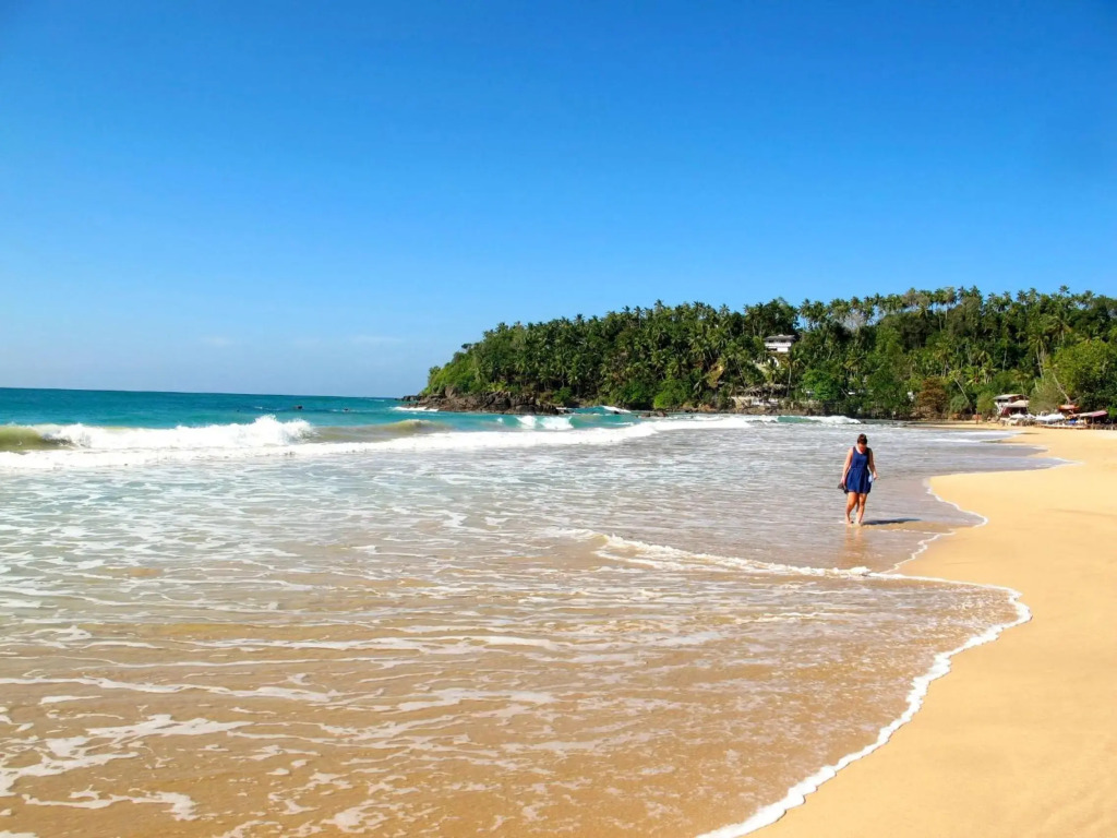 Coconut Hill Homestay
