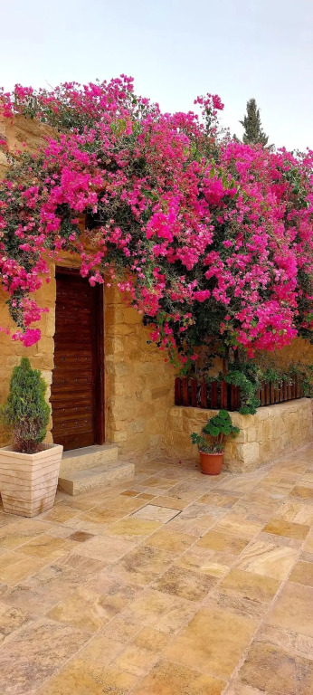 Hayat Zaman Hotel And Resort Petra