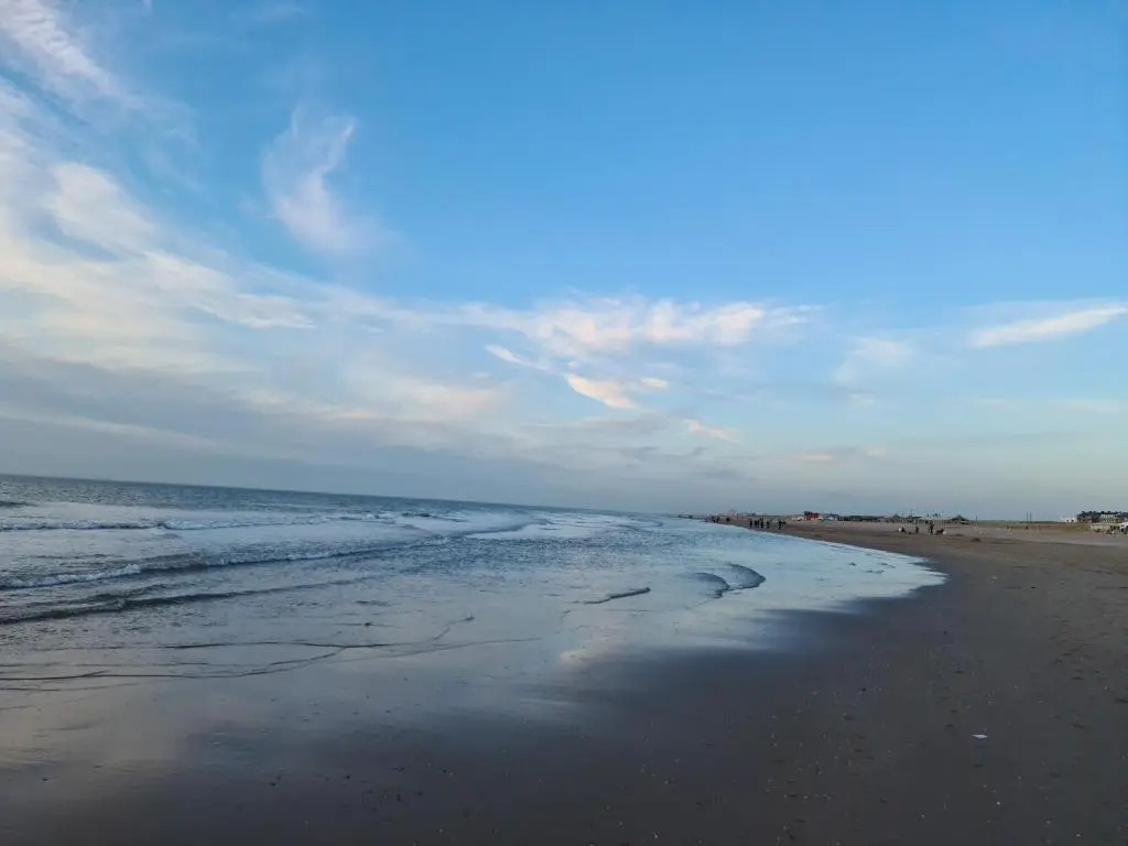 Tamar 2