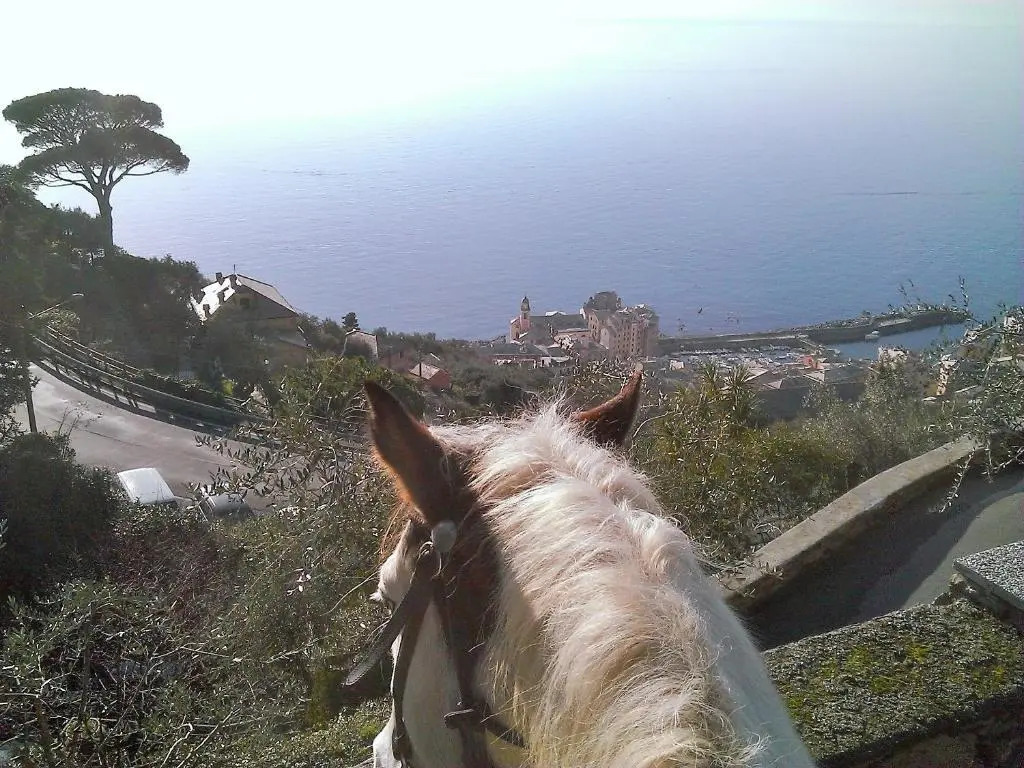 Villetta sul Mare