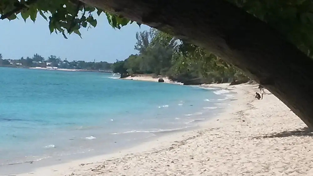Villa des Canaris
